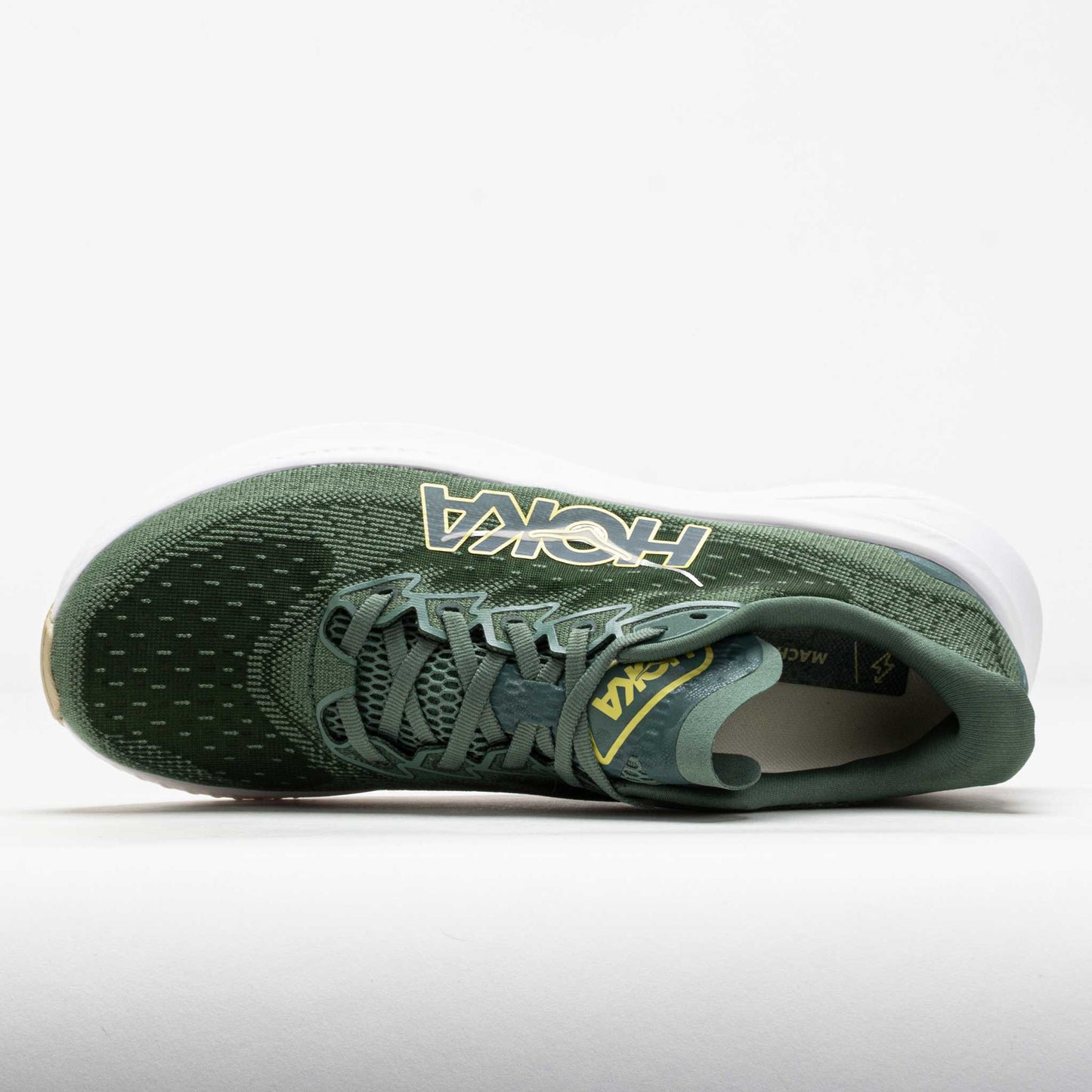 Mach 6 Men's Succulent/Fern